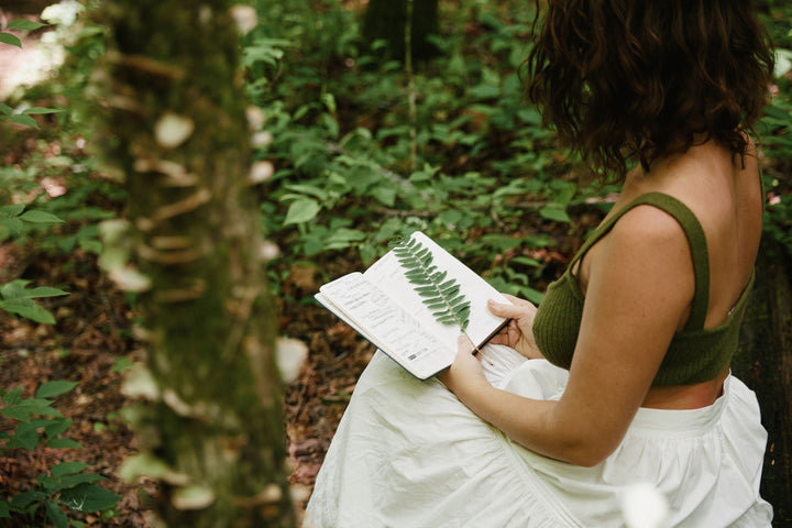 Herbs to Heal the Heart Space - SubLuna