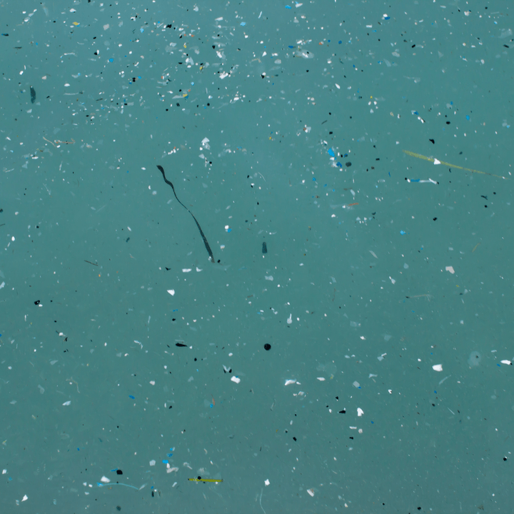 Why We Care Less About Microplastics (And You Can Too) - SubLuna