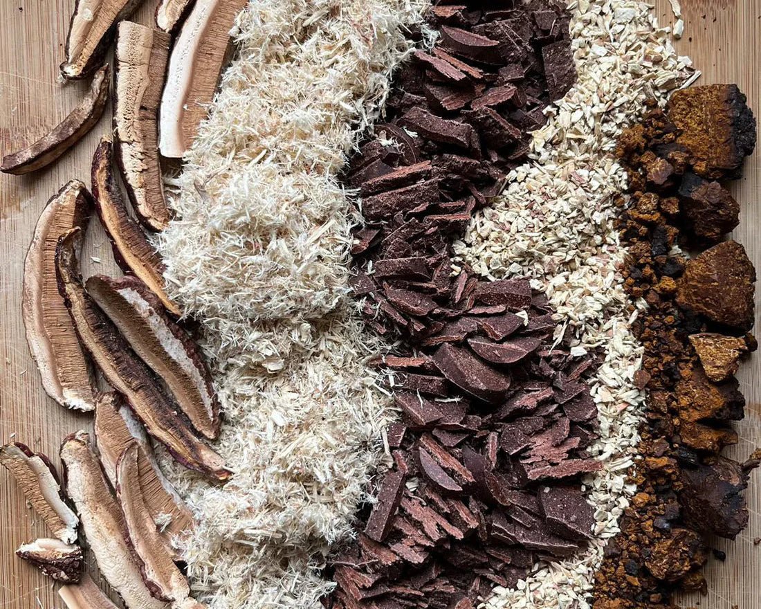 Shrooms & Adaptogens - SubLuna