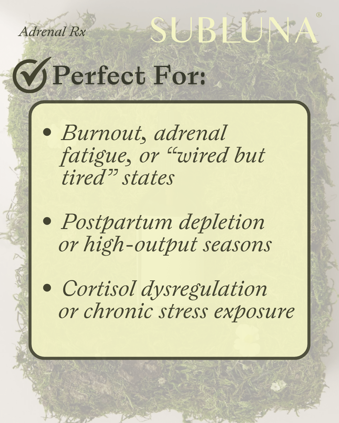 Adrenal Rx: Burnout Restoration Blend - SubLuna