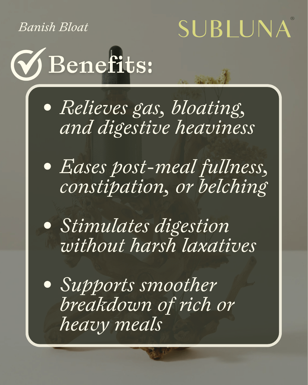 Banish Bloat Digestive Glycerite - SubLuna