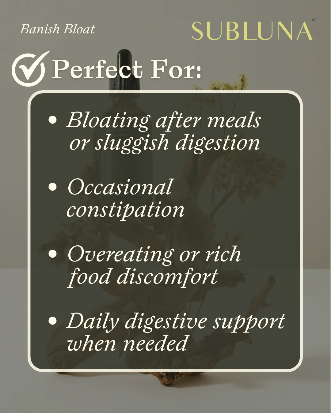 Banish Bloat Digestive Glycerite - SubLuna