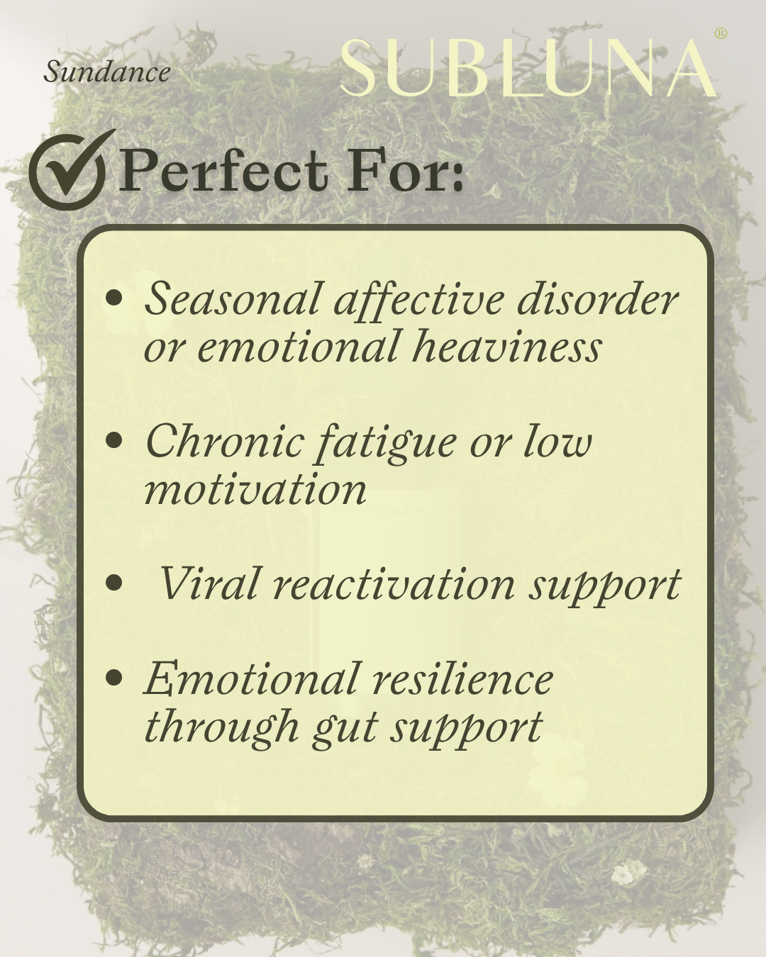 Sundance: Mood Uplifting Blend - SubLuna