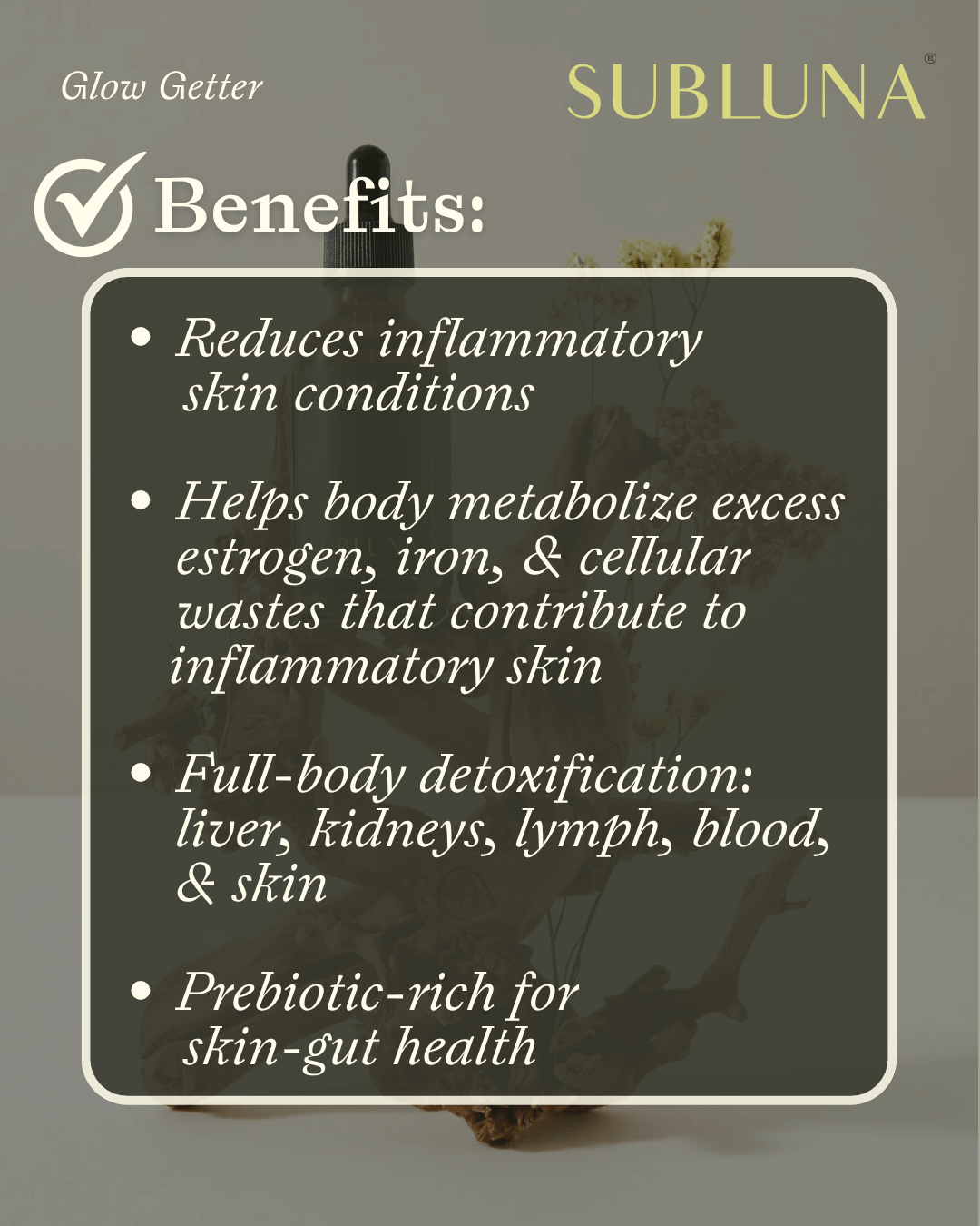 Glow Getter Skin Detoxifier - SubLuna