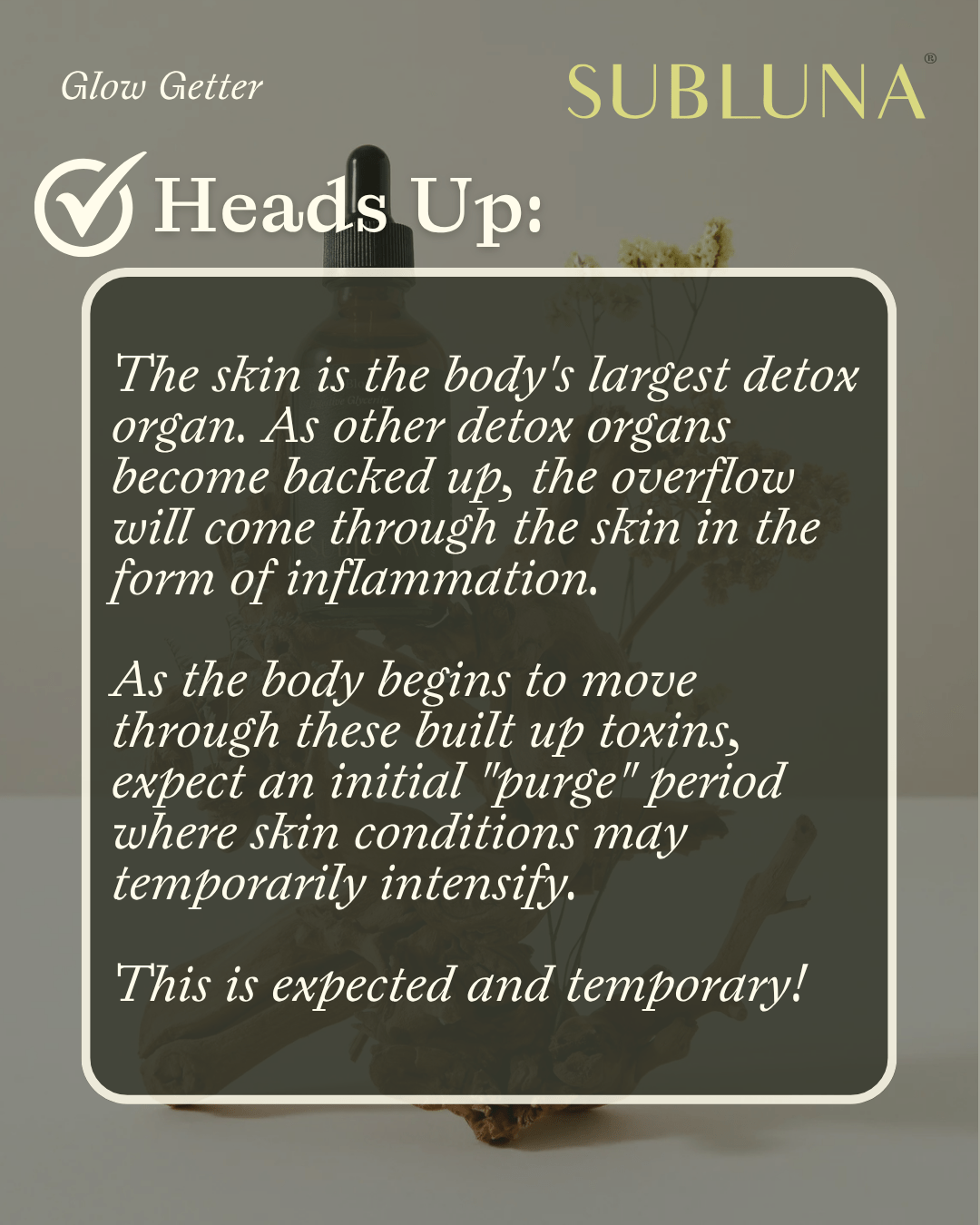 Glow Getter Skin Detoxifier - SubLuna