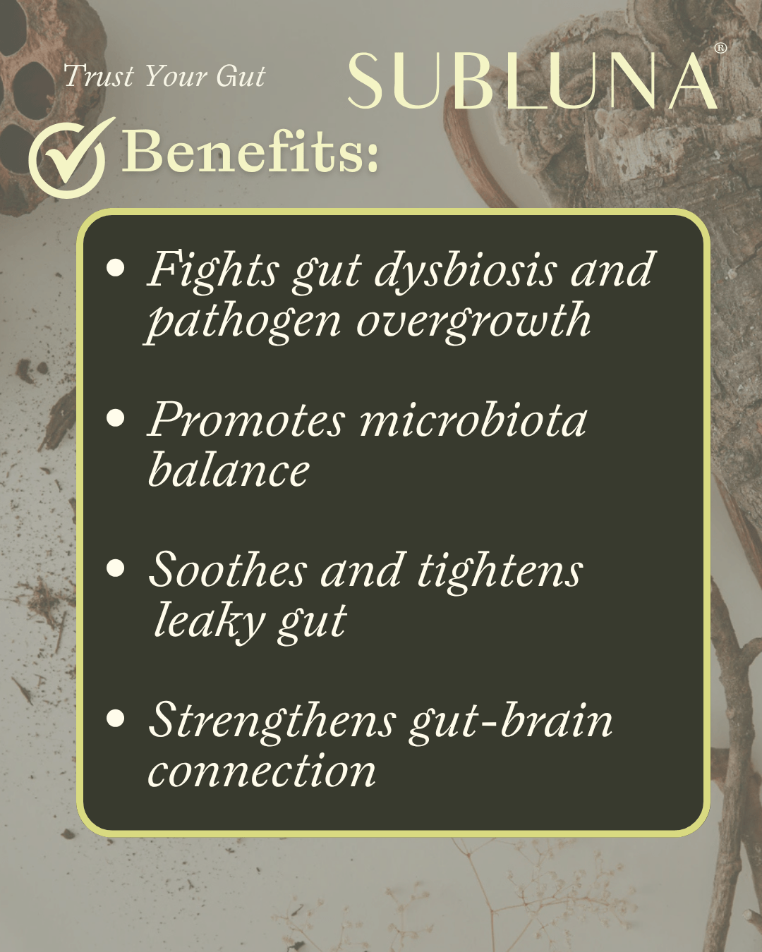 Trust Your Gut: Microbiome & Leaky Gut Support - SubLuna