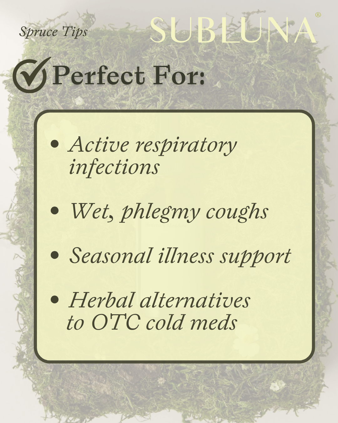 Spruce Tips Elixir - SubLuna