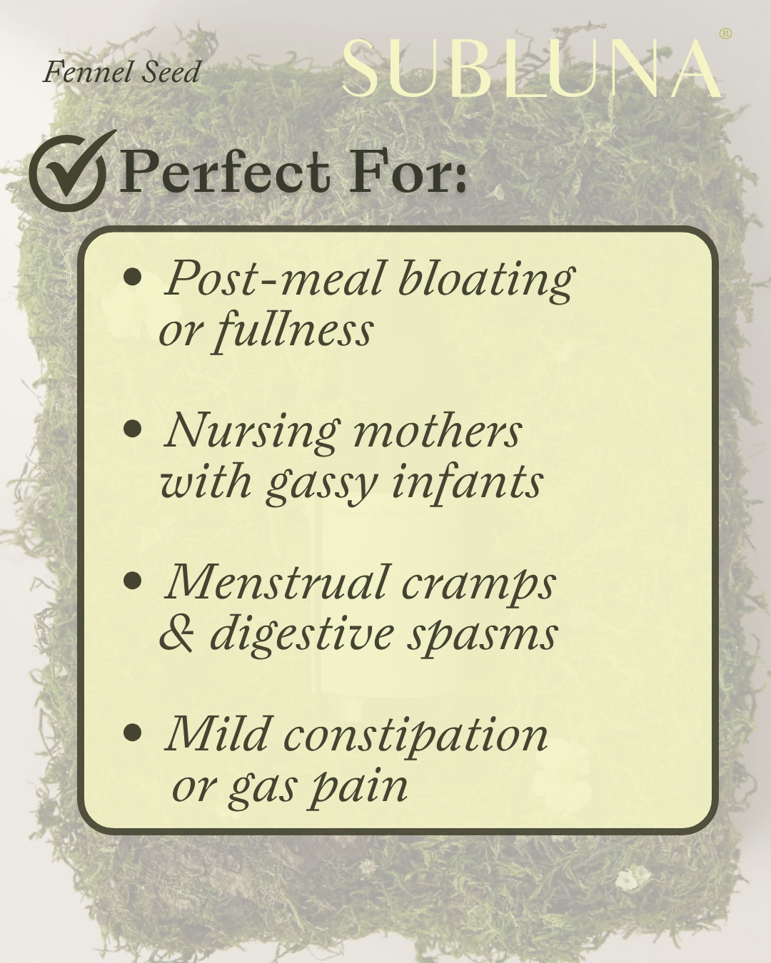Fennel Seed Digestive Elixir - SubLuna