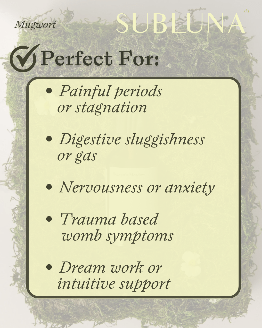 Mugwort Elixir for Uterine Health - SubLuna