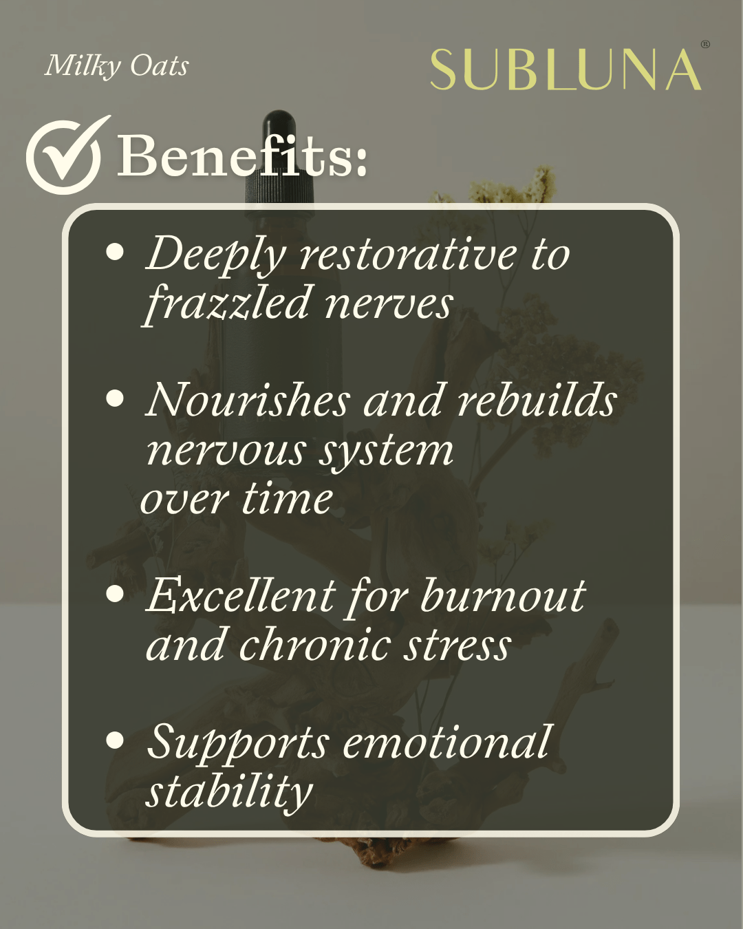 Fresh Milky Oats Dual Extract: Nervous System Recovery & Stress Support - SubLuna