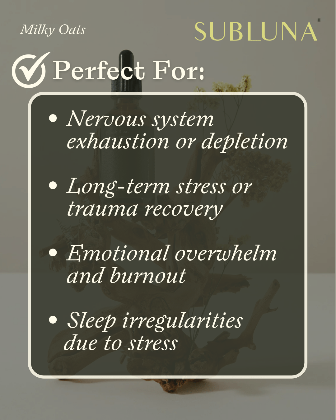 Fresh Milky Oats Dual Extract: Nervous System Recovery & Stress Support - SubLuna