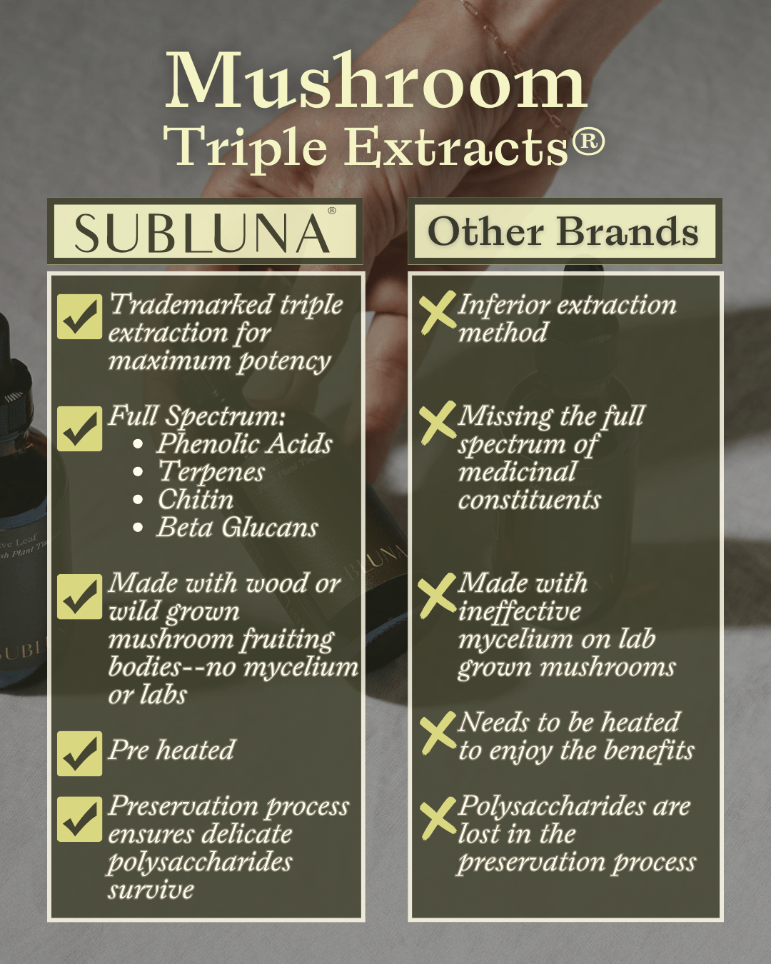 Tremella Mushroom Triple Extract - SubLuna