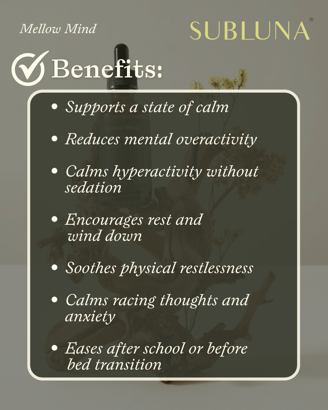 Mellow Mind: Hyperactivity and Calm Support - SubLuna