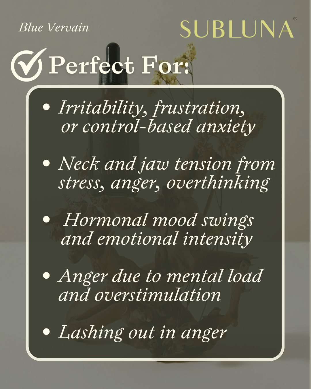 Blue Vervain Tincture: Mental & Physical Tension Support - SubLuna