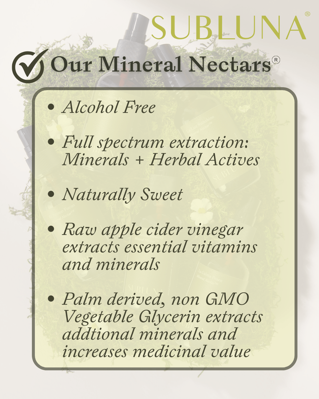 ZING: Focus and Brain Support - SubLuna