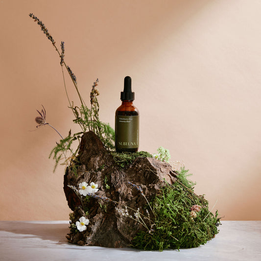 Elderberry Plus Elixir: Immune & Antiviral Support - SubLuna