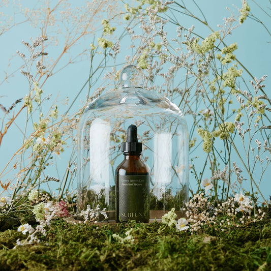 Queen Anne’s Lace Tincture - SubLuna