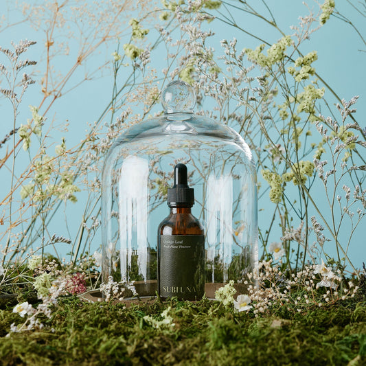 Ginkgo Leaf Tincture: Brain & Memory Support - SubLuna