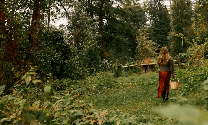 Arielle's Favorites: Our 2025 Founder-Curated Wellness Gift Guide - SubLuna