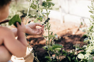 Sore and Strep Throat: Natural Remedies for Lasting Relief