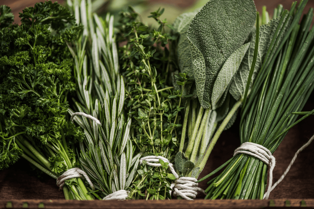 Immune Support with Herbs - SubLuna