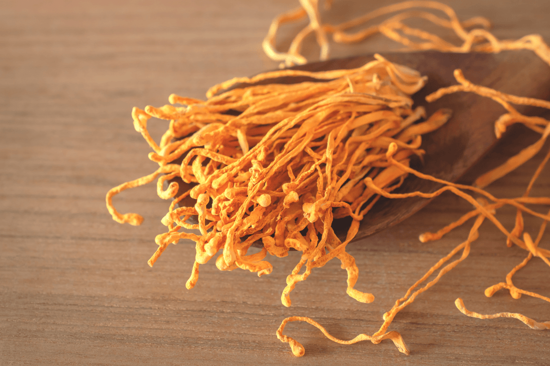 Boost NAD⁺ Naturally with Herbs - SubLuna
