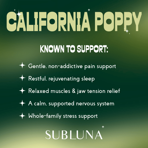 California Poppy Tincture: Pain & Comfort Support - SubLuna