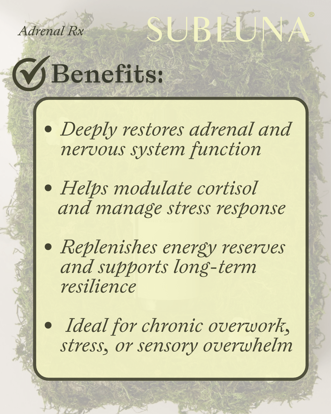 Adrenal Rx: Burnout Restoration Blend - SubLuna