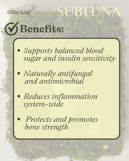 Olive Leaf Tincture: Gut & Blood Sugar Support - SubLuna