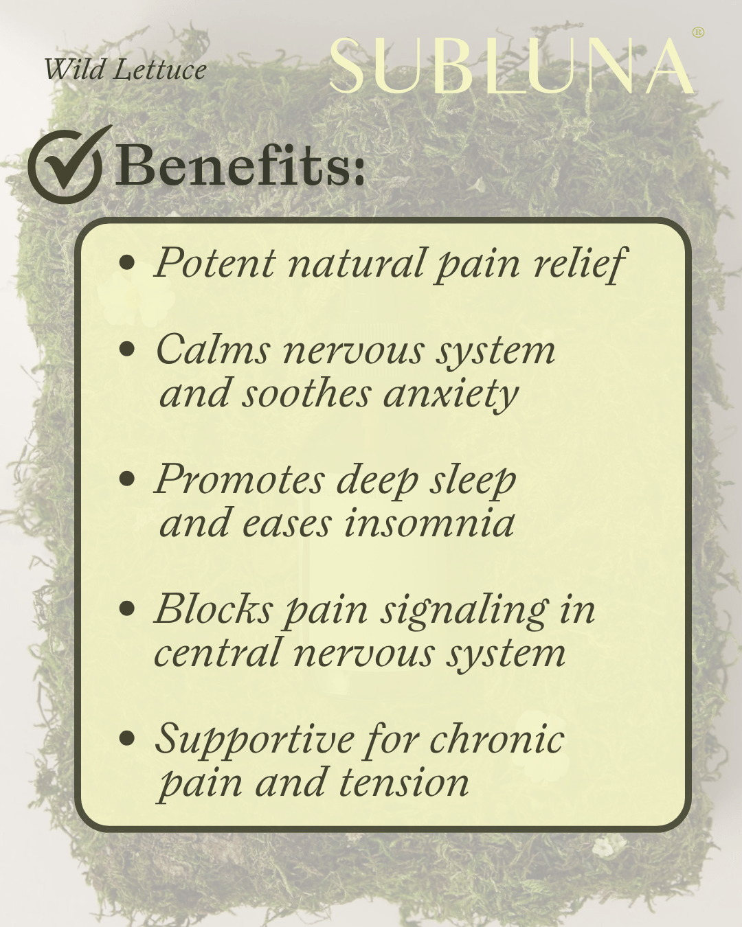 Wild Lettuce Dual Extract: Chronic Pain Support - SubLuna