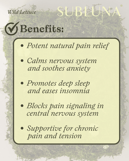 Wild Lettuce Dual Extract: Chronic Pain Support - SubLuna