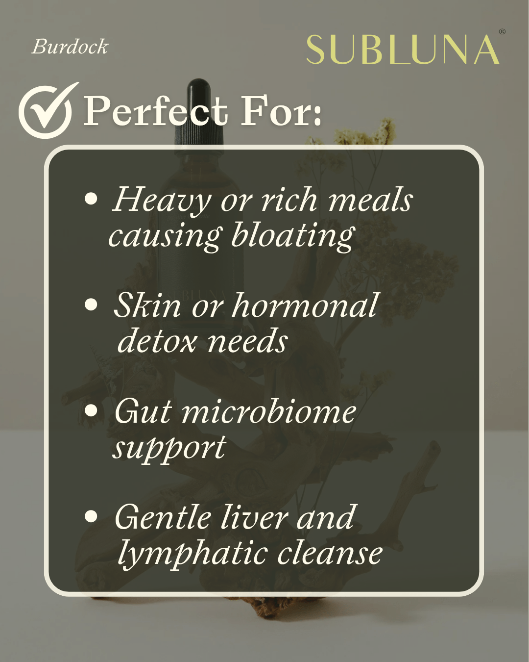Burdock Root Tincture: Gut Health & Detox Support - SubLuna