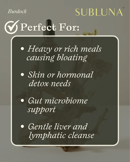 Burdock Root Tincture: Gut Health & Detox Support - SubLuna