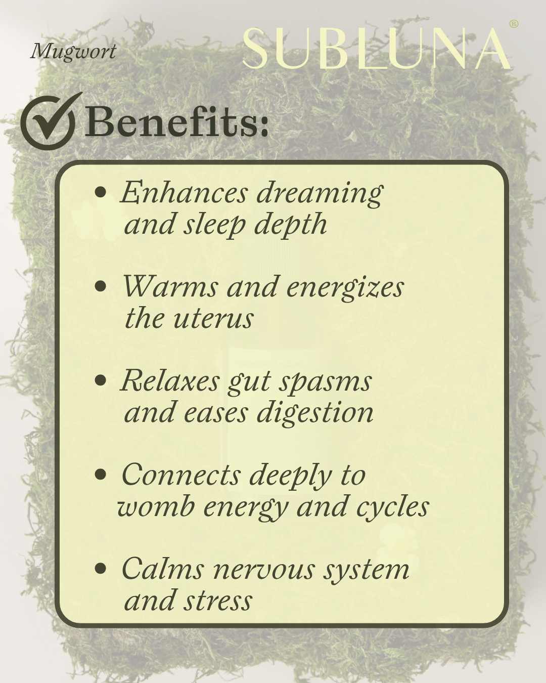 Mugwort Elixir for Uterine Health - SubLuna