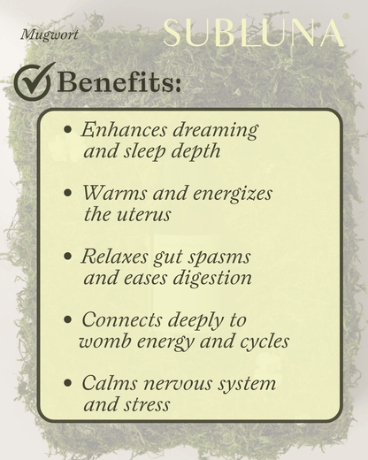 Mugwort Elixir for Uterine Health - SubLuna
