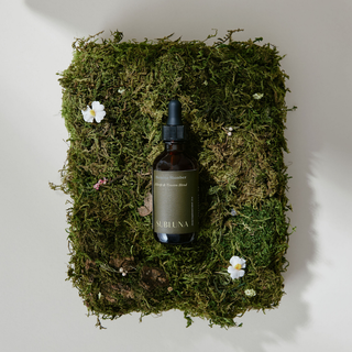 Serene Slumber: Hops and Skullcap Tincture Blend