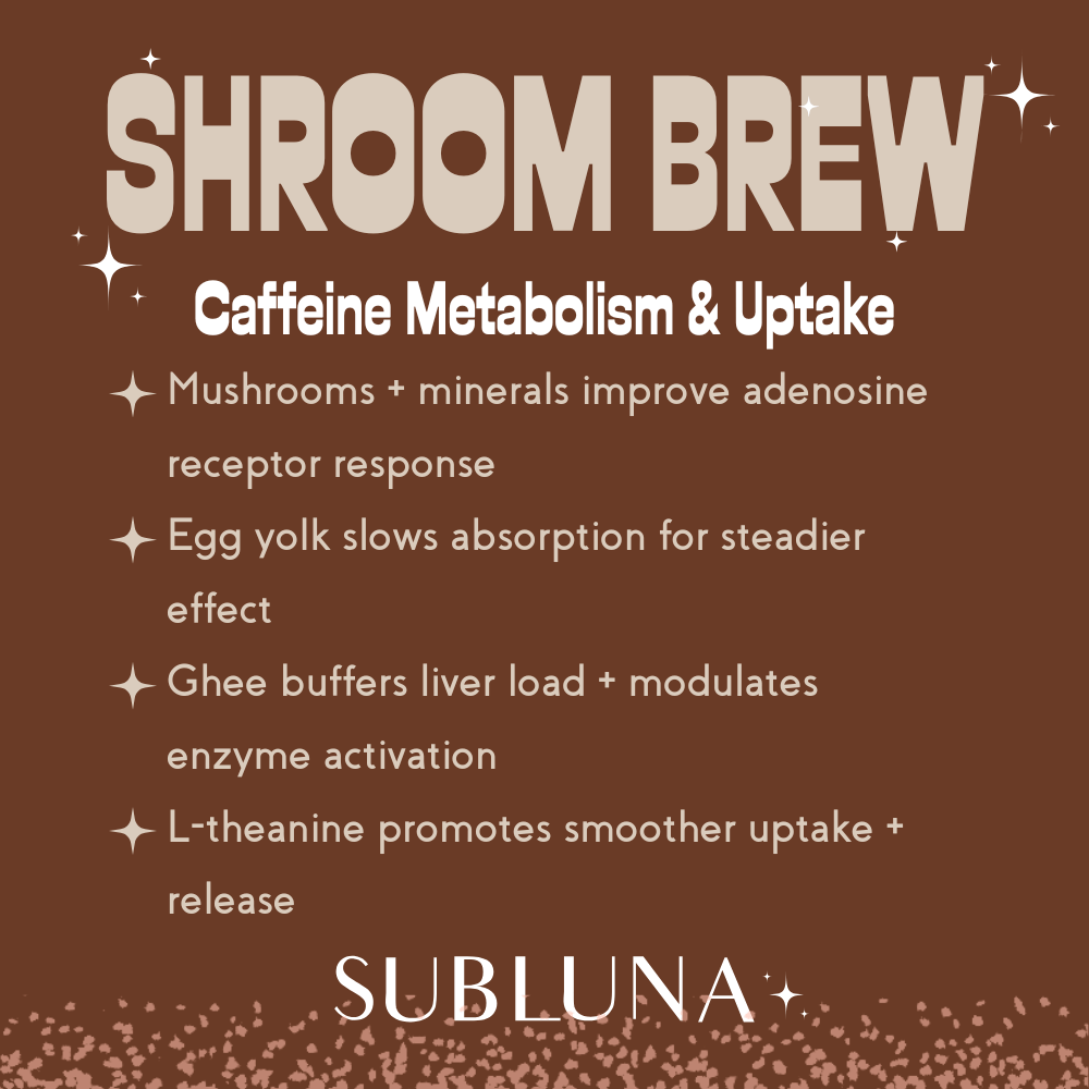 Shroom Brew Mushroom Coffee - SubLuna