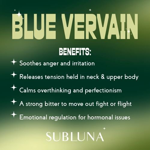 Blue Vervain Tincture: Mental & Physical Tension Support - SubLuna