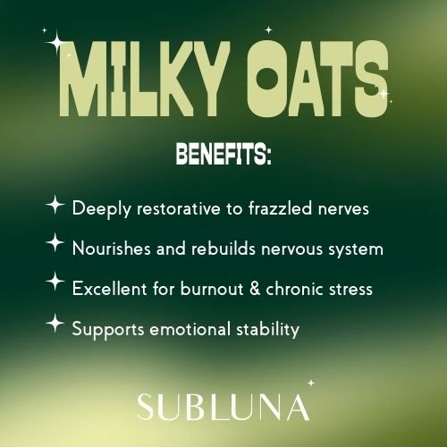 Fresh Milky Oats Dual Extract: Nervous System Recovery & Stress Support - SubLuna