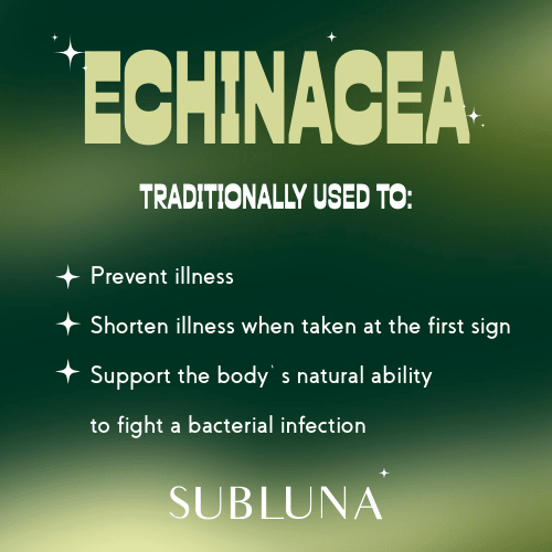 Echinacea Root Tincture: Immune & Anti - Infective Support - SubLuna