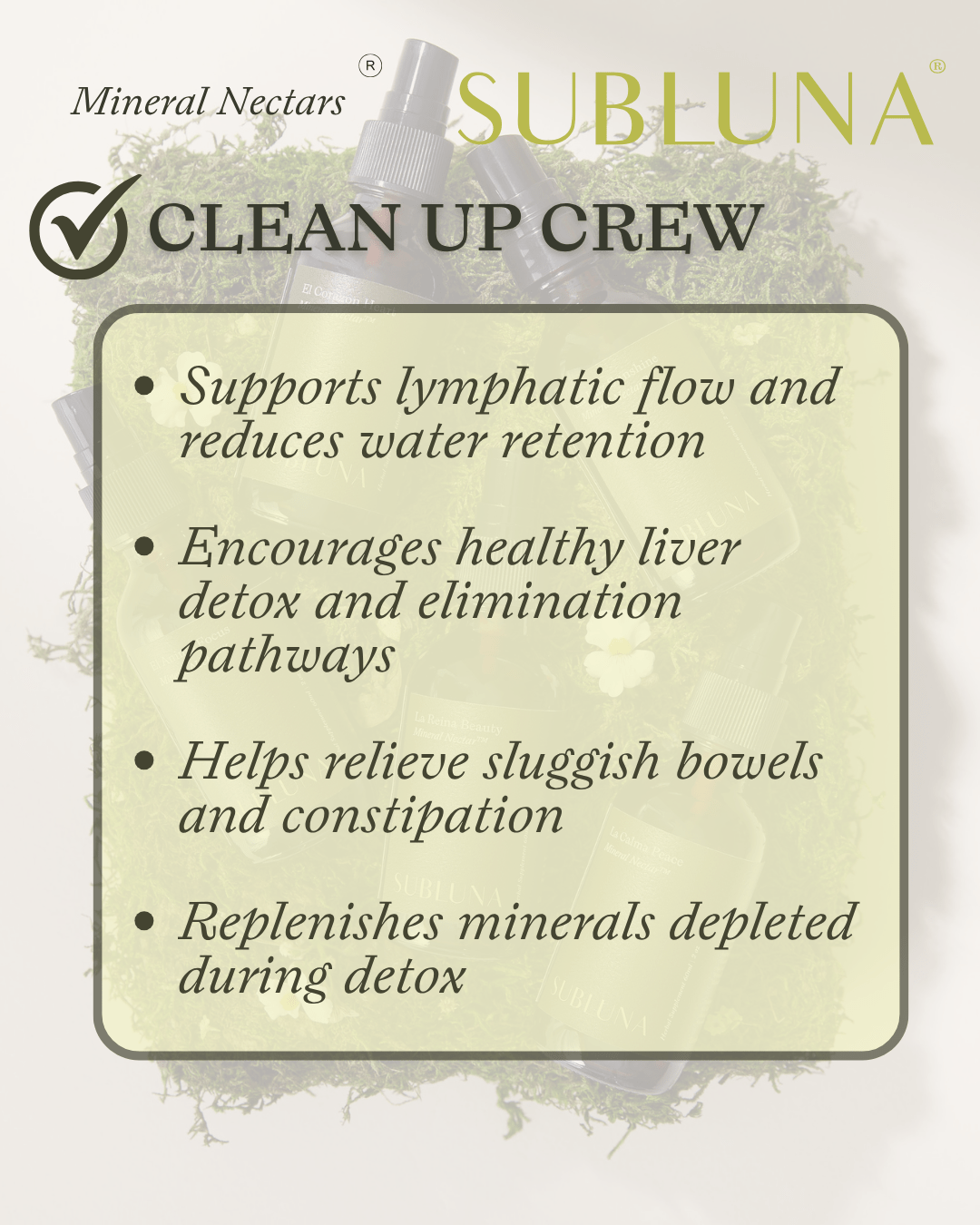 Clean Up Crew: Lymph & Drainage Support (formerly Beltane's Bounty) - SubLuna