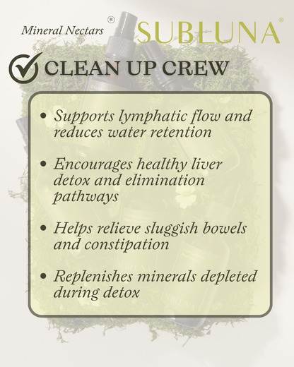 Clean Up Crew: Lymph & Drainage Support (formerly Beltane's Bounty) - SubLuna