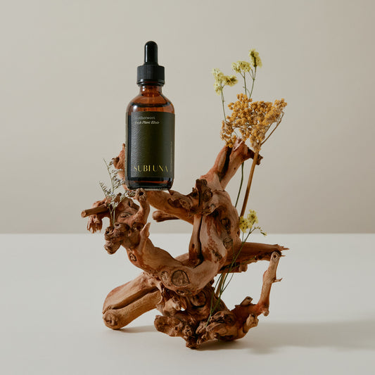 Motherwort Elixir: Anxiety Support - SubLuna