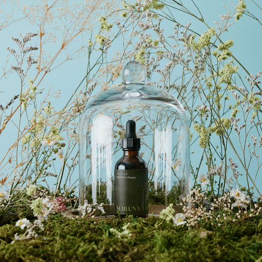 Olive Leaf Tincture: Gut & Blood Sugar Support - SubLuna