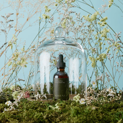 The Nourishing Matriarch Bundle - SubLuna