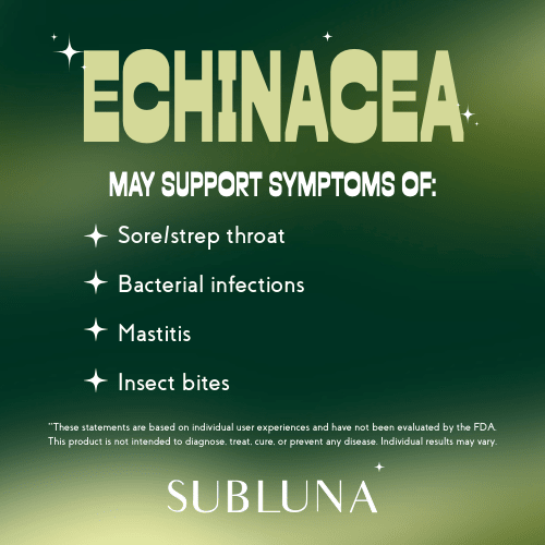Echinacea Root Tincture: Immune & Anti - Infective Support - SubLuna