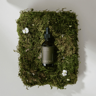 Spruce Tips Elixir